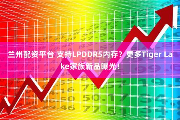 兰州配资平台 支持LPDDR5内存？更多Tiger Lake家族新品曝光！