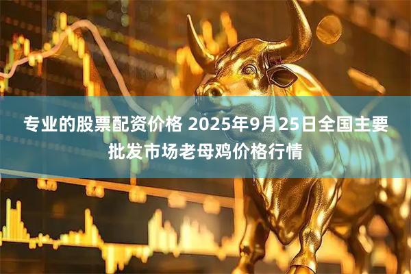 专业的股票配资价格 2025年9月25日全国主要批发市场老母鸡价格行情